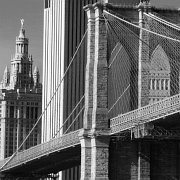 Black and white_0021.jpg